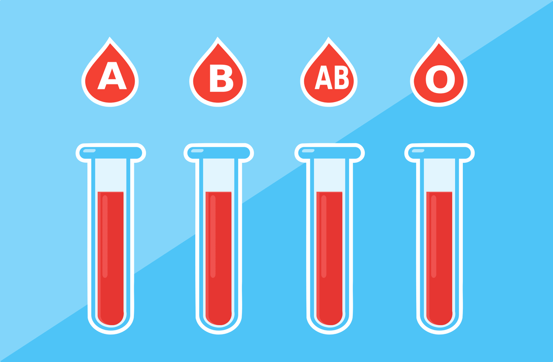 There are 4 blood types - A, B, AB, O
